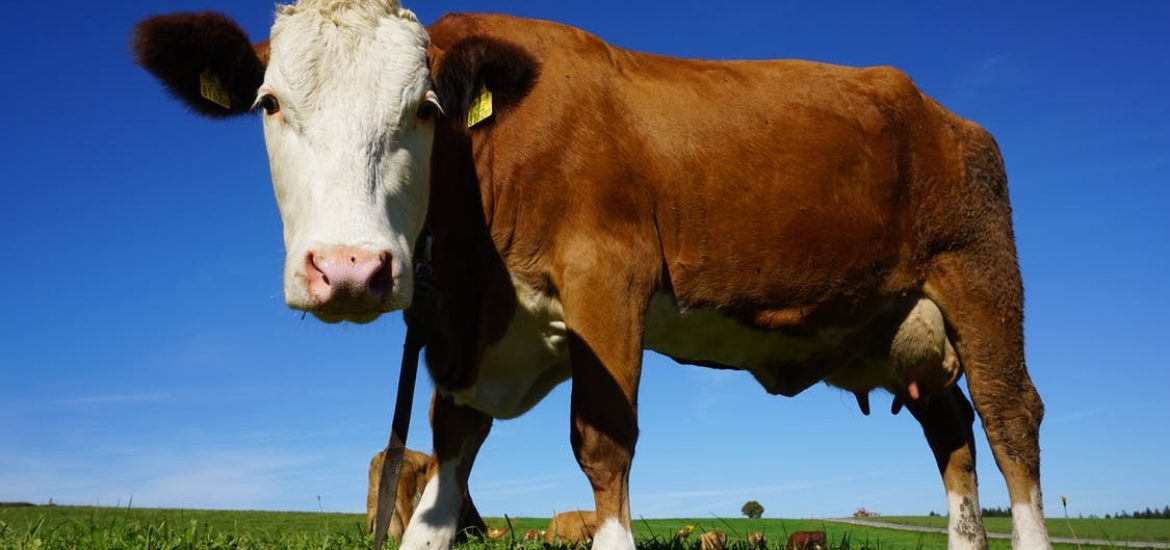 Rising methane alarms researchers