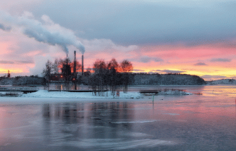 Finland looks to pioneer dung power  