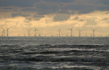 Dutch disappoint with renewable record