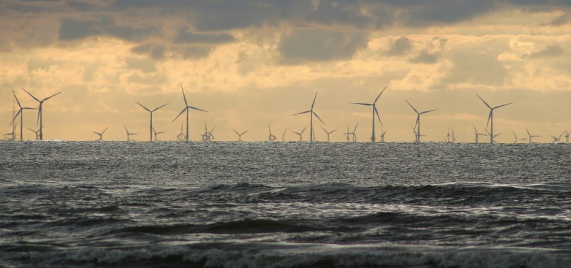 Dutch disappoint with renewable record